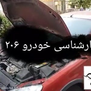 کارشناسی خودرو پژو 206